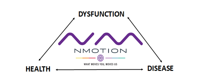 nmotion chart